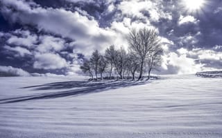 Картинка зима, облака, деревья, снег