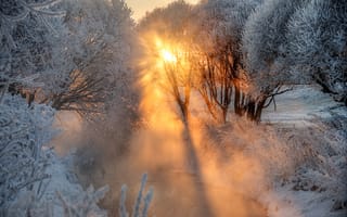 Картинка Зима, иней, река, рассвет