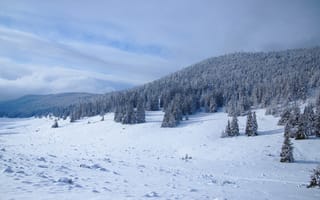 Картинка зима, поле, горы, снег, облака, небо, холмы, лес