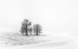 Картинка поле, снег, зима