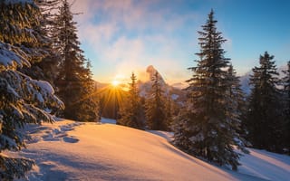 Картинка зима, снег, свет, лучи, горы, Альпы, солнце