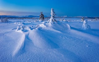 Картинка Gitsfjallets nature reserve, снег, зима, сугробы, Швеция, Lapland, Лапландия, Sweden, деревья