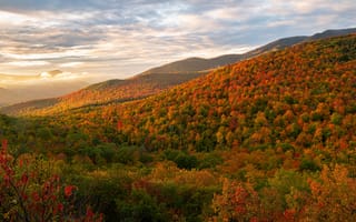 Картинка осень, лес, горы, небо, деревья, холмы, высота, облака