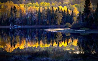 Картинка осень, лес, берег, Канада, озеро, Alain Audet, отражение, природа, Квебек, пейзаж