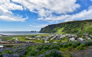 Картинка море, цветы, дома, берег, скалы, деревня, домик, горы