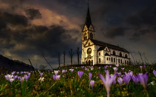 Картинка деревья, цветы, холмы, вечер, церковь, крокусы, весна, тучи