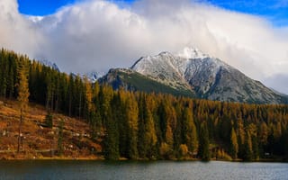 Картинка осень, лес, природа, облака, синева, деревья, горы, снег