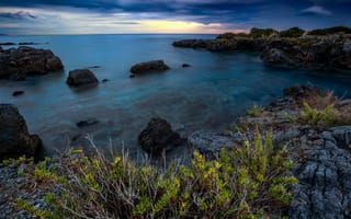 Картинка море, зелень, ветки, небо, синий, тучи, облака, листья