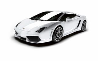 Картинка Lamborghini, белый фон, галлардо, ламборгини, Gallardo
