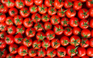 Картинка красные, много, помидоры