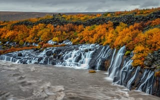 Картинка осень, лес, деревья, желтый, течение, берег, река, скалы