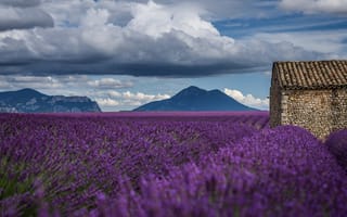 Картинка поле, лето, горы, природа, небо, Франция, цветы, облака