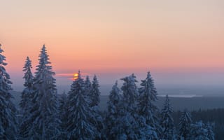 Картинка зима, лес, деревья, Финляндия, ели, закат