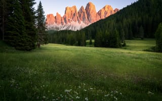 Картинка лес, Альпы, луг