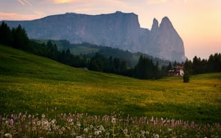 Картинка поле, цветы, Альпы, домик, горы
