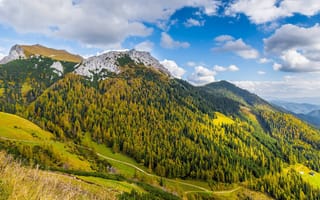 Картинка дорога, осень, лес, синева, желтый, природа, облака, горы