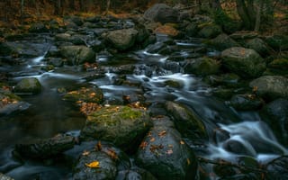 Картинка осень, лес, ручей, листья, деревья, камни, водопад