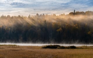 Картинка осень, лес, лучи, река, трава, свет, облака, туман