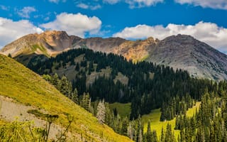 Картинка лес, небо, ели, холмы, облака, склон, горы
