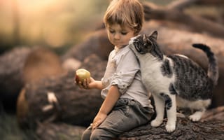 Картинка кошка, кот, друзья, мальчик, бревно, яблоко, дружба, боке