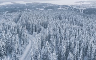 Картинка зима, дорога, вид, город, небо, природа, лес, снег