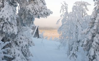 Картинка зима, дорога, высота, природа, горы, холмы, снег, лес