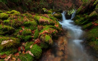 Картинка зелень, осень, осенние, лес, мох, листья, камни, водопад