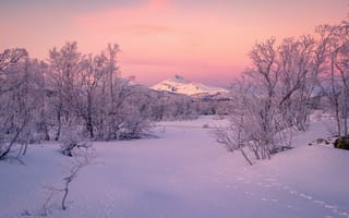 Картинка Kvæfjord, снег, следы, Тромс, зима, Норвегия, горы, Квефьорд, деревья, Norway, Troms county