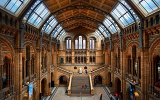 Картинка музей естественной истории, Лондон, зал, ступени, лестница, Англия