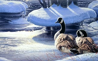 Картинка снег, гуси, лёд, живопись, зима, река, пара гусей, Winter Thaw, Jay Johnson