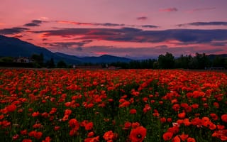 Картинка небо, облака, деревья, закат, холмы, горы, красный, тучи