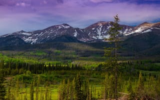 Картинка лес, небо, облака, горы, деревья, снег, свет, пейзаж