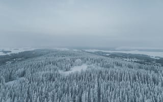 Картинка зима, лес, небо, снег, холмы, туман, пасмурно, облака