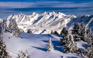 Картинка зима, снег, Пеннинские Альпы, ели, деревья, горы, Швейцария