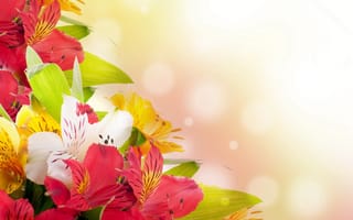 Картинка цветы, весна, 8марта, тюльпаны, праздник