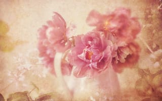 Картинка букет, кувшин, пионы