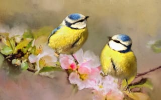 Картинка ветки, птица, две, синица