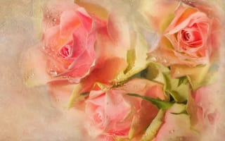 Картинка розы, букет, розовые, фотоарт