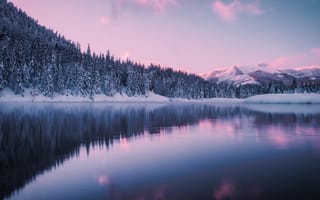Картинка Gold Creek Pond, штат Вашингтон, зима, озеро, горы, лес, пруд, Washington, Hyak, Гиак