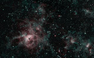 Картинка звёзды, Тарантул, LMC, Large Magellanic Cloud, Большое Магелланово Облако, NGC 2070, Tarantula Nebula, ESO 57-EN6, эмиссионная туманность, ионизированный водород, скопления, БМО