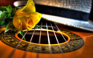 Картинка гитара, роза, макро