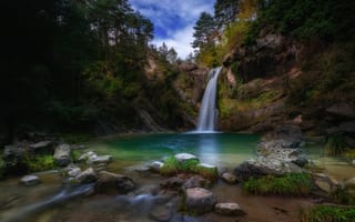 Картинка лес, озеро, камни, заросли, поток, водопад