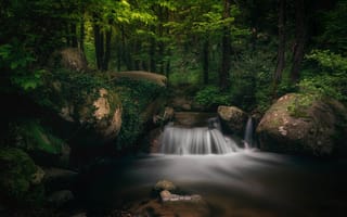 Картинка лес, камни, водопад