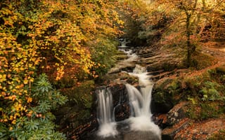 Картинка осень, лес, листва, водопад