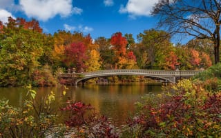 Картинка осень, парк, природа, город, мост, пруд, Нью-Йорк, США, пейзаж, деревья