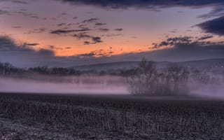 Картинка поле, туман, закат