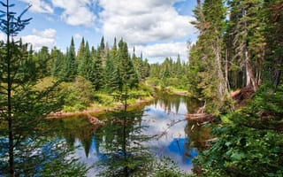 Картинка облака, парк, река, природа, Algonquin Provincial Park, деревья, Канада