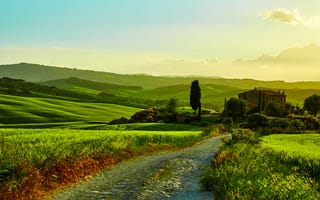 Картинка Италия, кусты, трава, дом, деревья, Тоскана, дорога, зелень, Tuscany, поля, луга