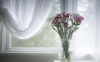 Картинка цветы, окно, ваза