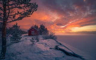 Картинка зима, деревья, Рингерике, снег, замёрзшее озеро, Норвегия, Ringerike, Norway, домик, закат